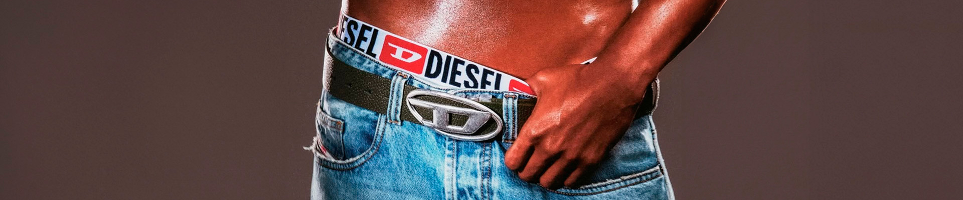 Banner Diesel